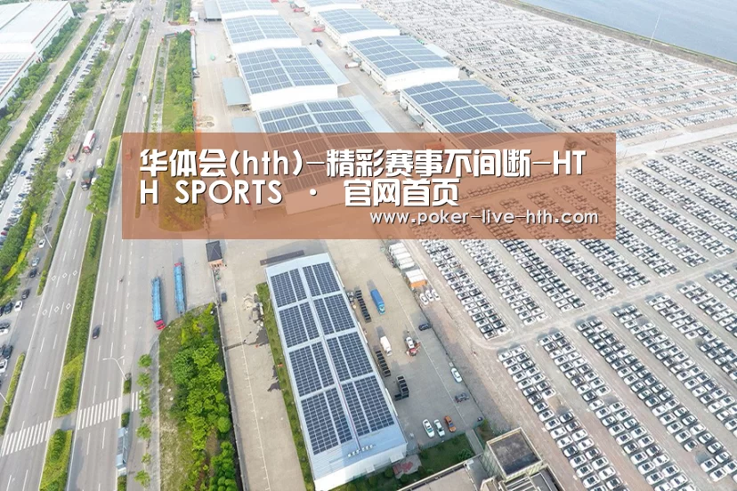 案例展示一