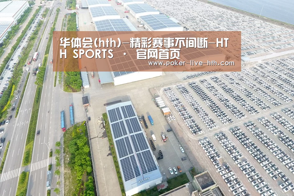 案例展示四