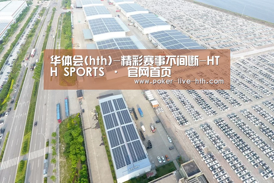 案例展示三